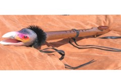 2008-03-31_pararaptor@comcast.net_Colorful condor_Condor9 (copy)